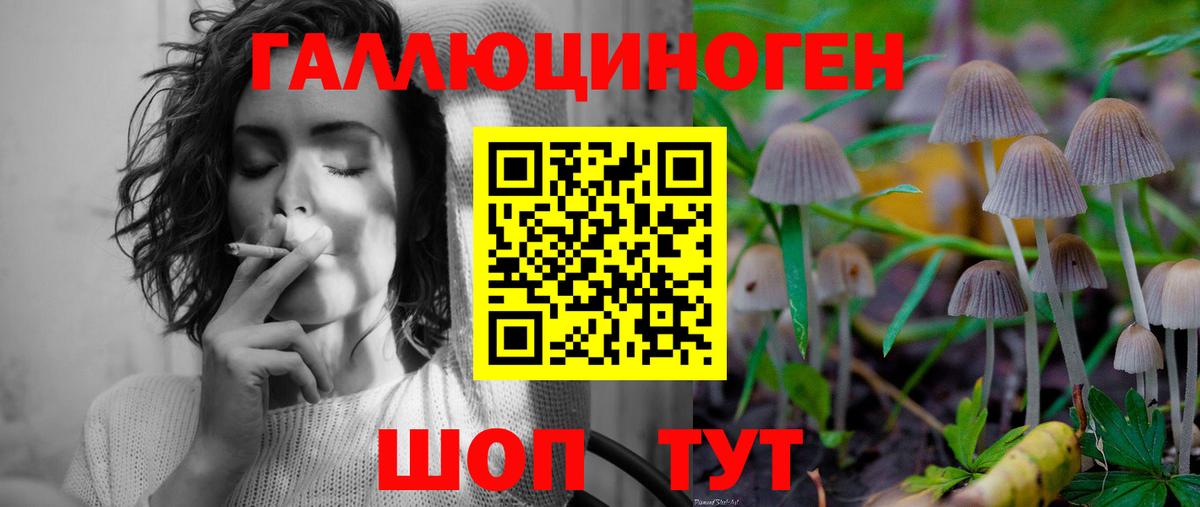 Галлюциногенные грибы Cubensis  Псилоцибиновые грибы мицелий  Щёлково  сколько стоит  Вход с VPN 