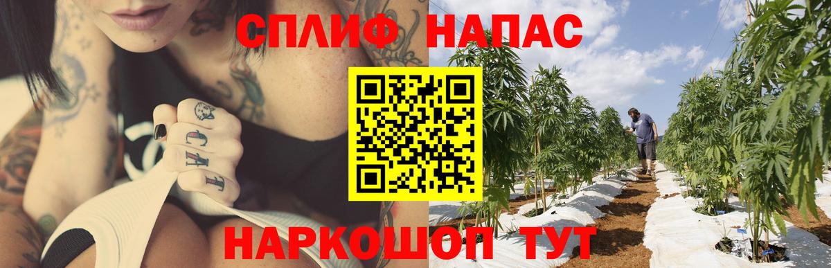 Щёлково  Марихуана VHQ  Вход с VPN  Марихуана планчик  Канабис индика 
